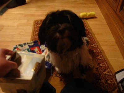 Bacco Balu